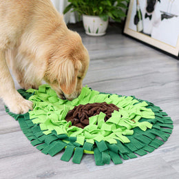 Golden retriever foraging for kibble in a Coathaus Snuffle Mat