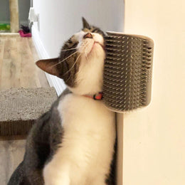 Cat rubbing its cheek against the Coathaus self-groomer mounted in a wall corner