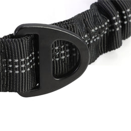 Close-up of the reinforced black D-ring where the bungee section meets the webbing on the Coathaus dog leash