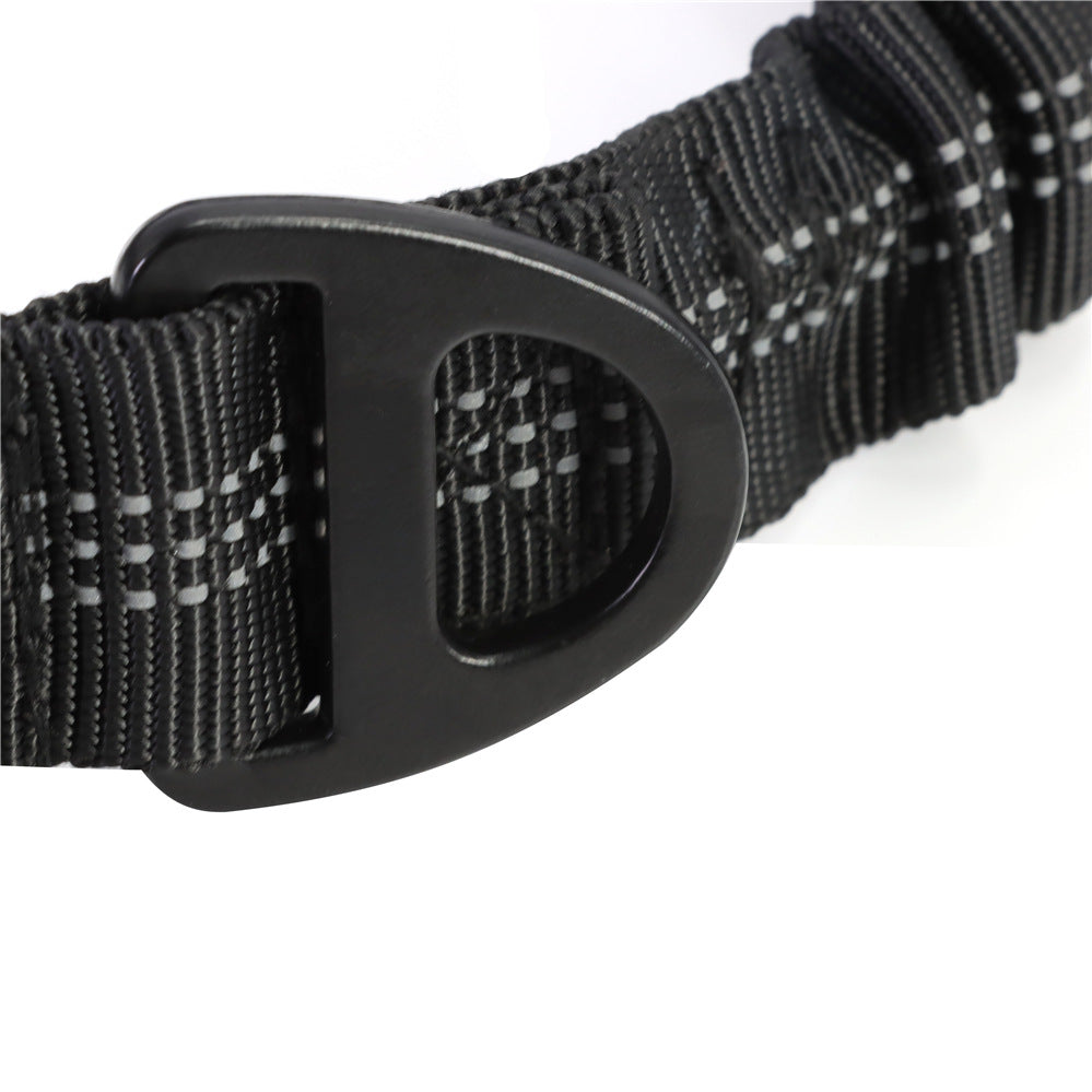Close-up of the reinforced black D-ring where the bungee section meets the webbing on the Coathaus dog leash