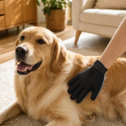 Golden retriever being groomed with the Coathaus deshedding glove