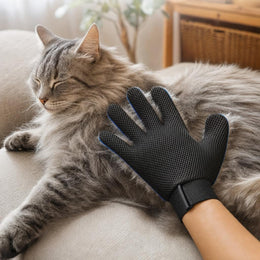 Long-haired cat relaxing while being groomed with the Coathaus glove